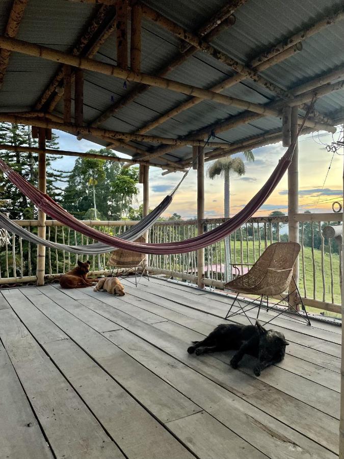 Rancho Ventura Villa Filandia Eksteriør bilde